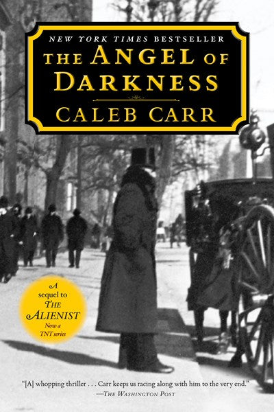 The Angel of Darkness: Book 2 of the Alienist : A Novel