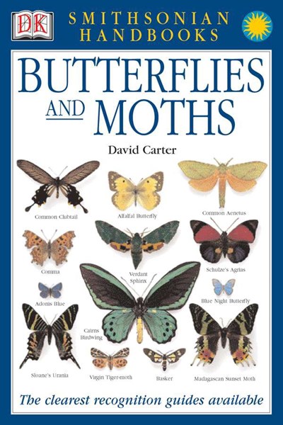 Butterflies & Moths: The Clearest Recognition Guide Available