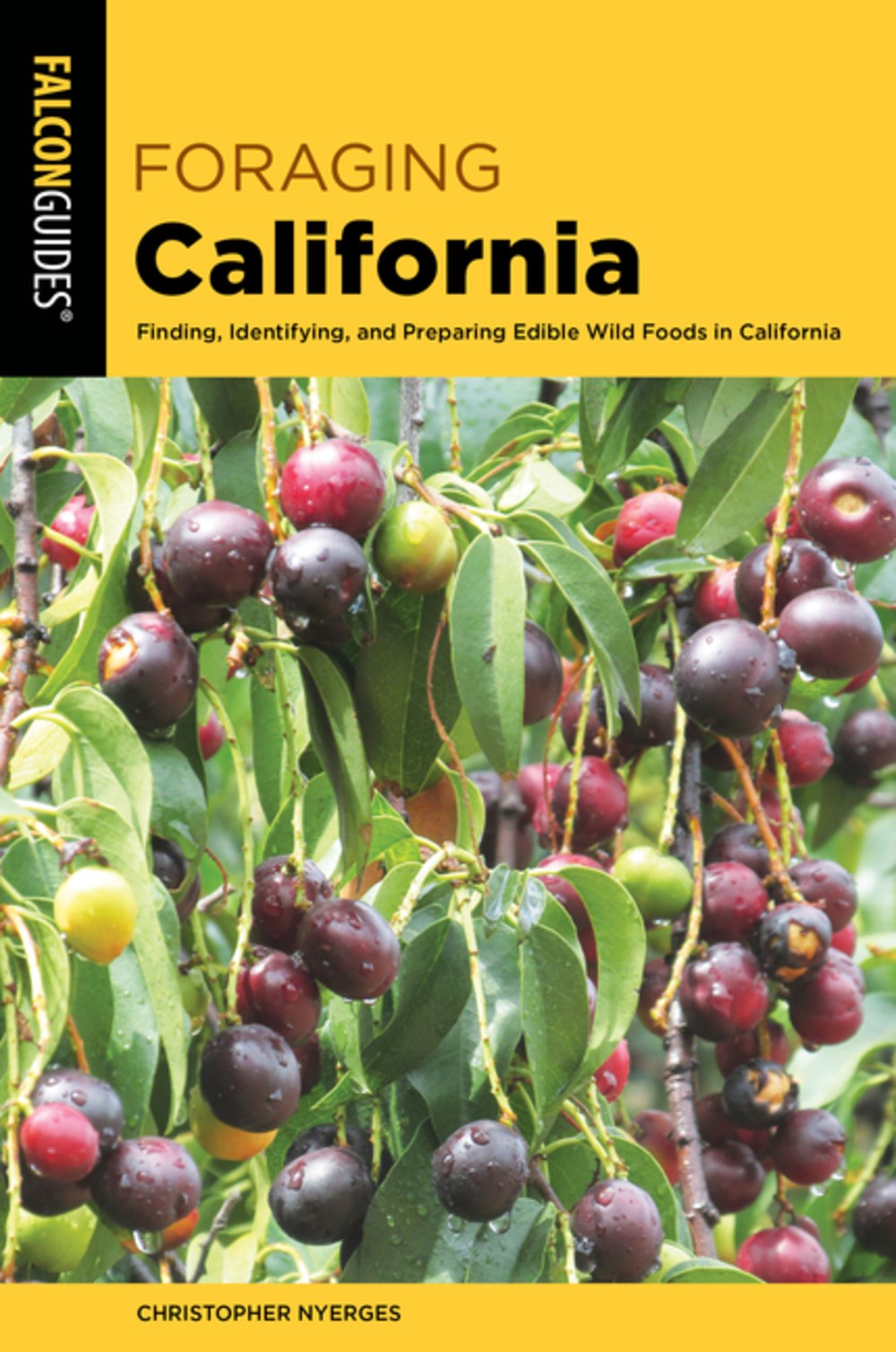 Foraging California: Finding, Identifying, And Preparing Edible Wild Foods In California (2nd Edition)