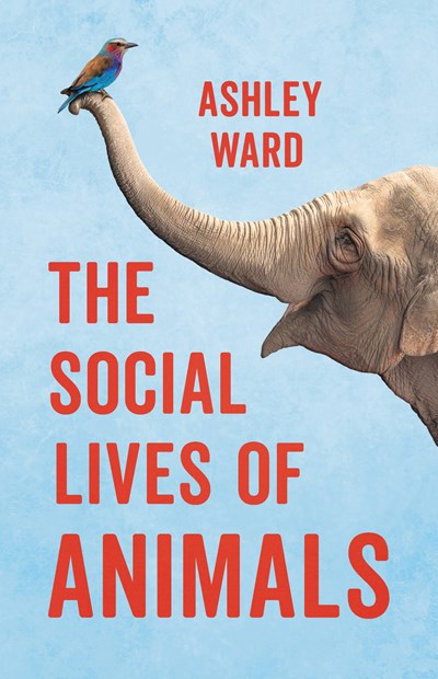 The Social Lives of Animals: How Cooperation Conquered the Natural World