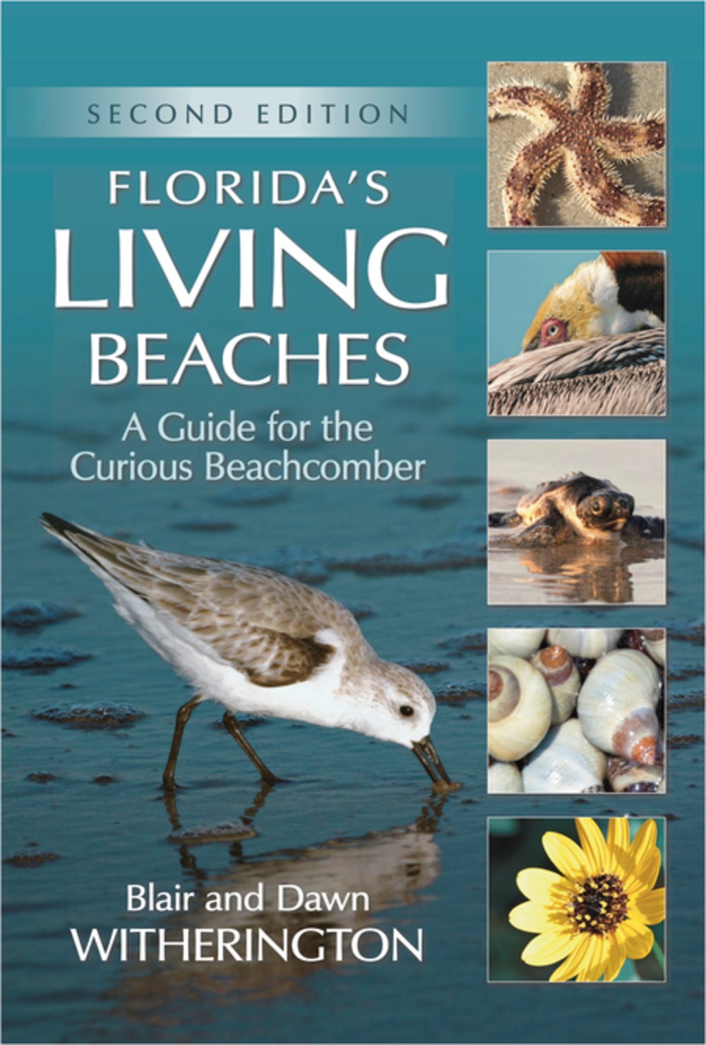 Florida's Living Beaches: A Guide for the Curious Beachcomber (2nd Edition)