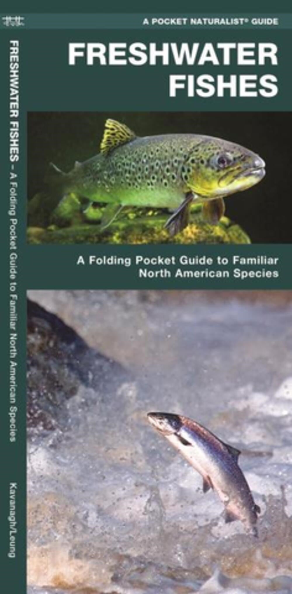 Freshwater Fishes: A Folding Pocket Guide to Familiar North American Species