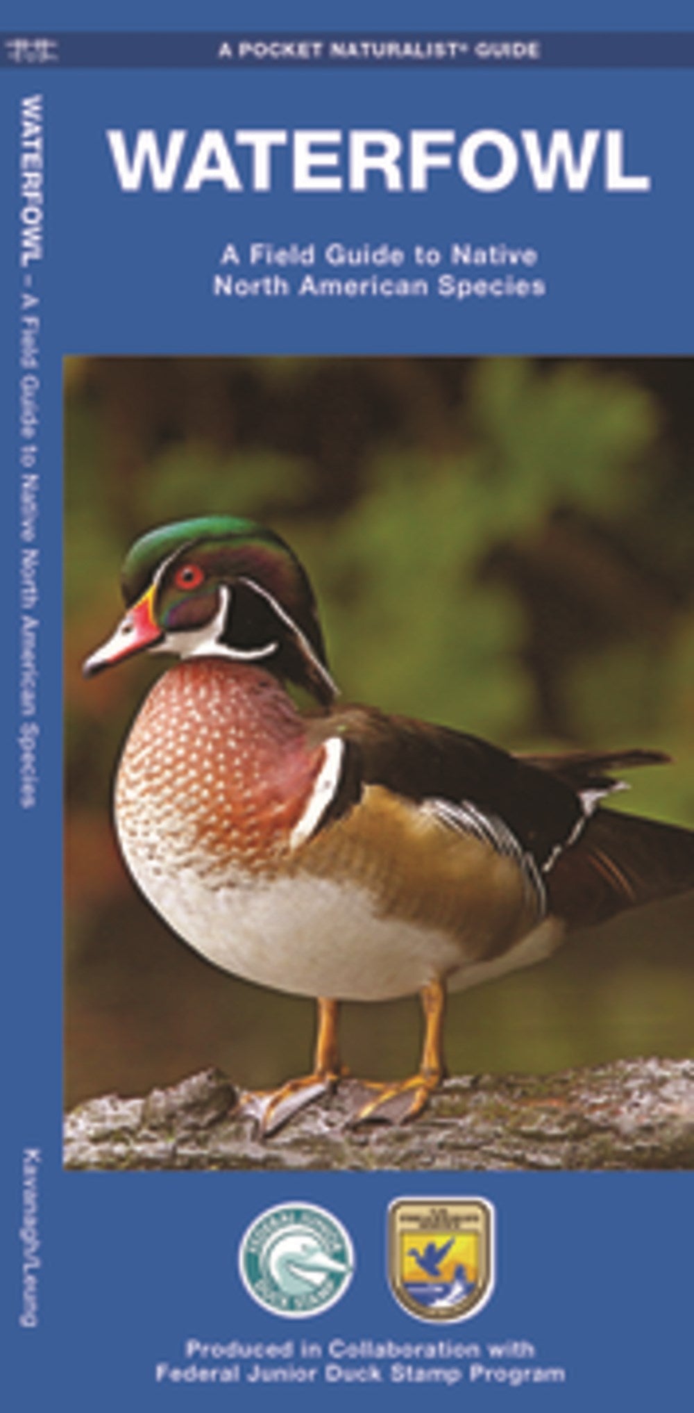 Waterfowl: A Field Guide to Native North American Species (2nd Edition)