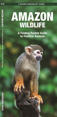 Amazon Wildlife: A Folding Pocket Guide to Familiar Animals (2nd Edition)