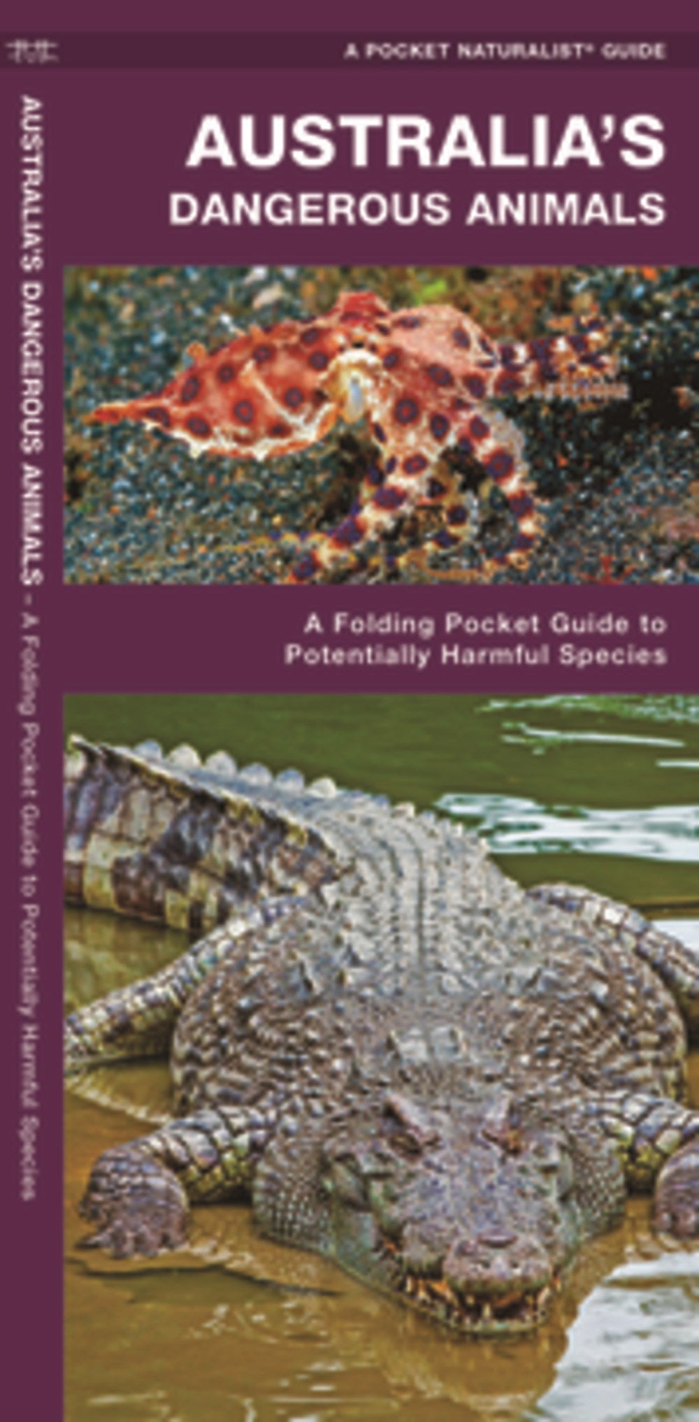 Australia's Dangerous Animals: A Folding Pocket Guide to Potentially Harmful Species