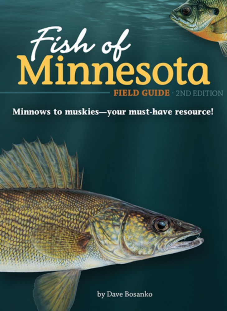 Fish of Minnesota Field Guide  (2nd Edition, Revised)