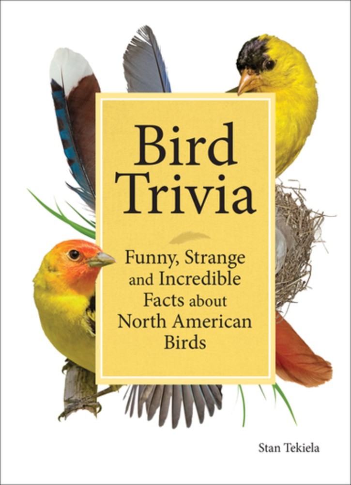 Bird Trivia: Funny, Strange and Incredible Facts about North American Birds