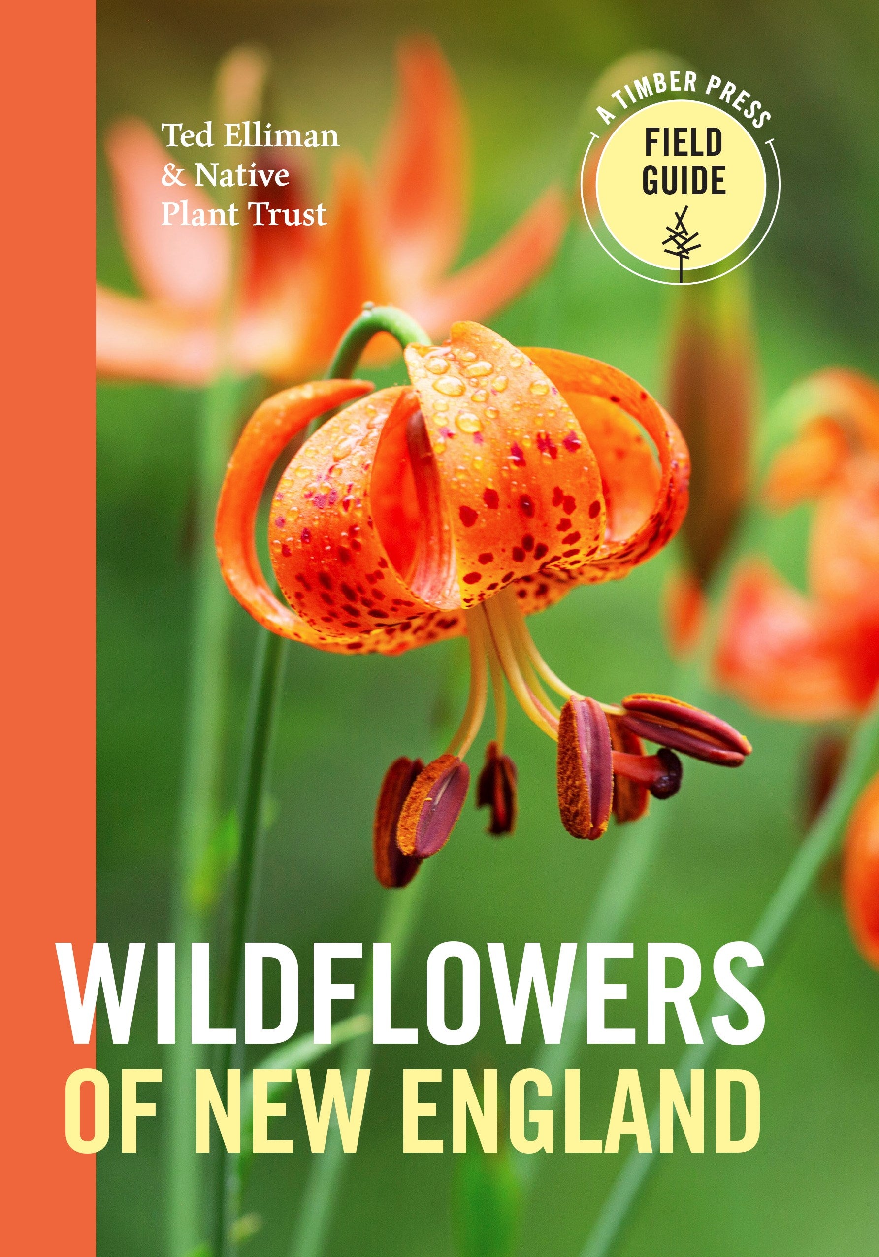 Wildflowers of New England: Timber Press Field Guide