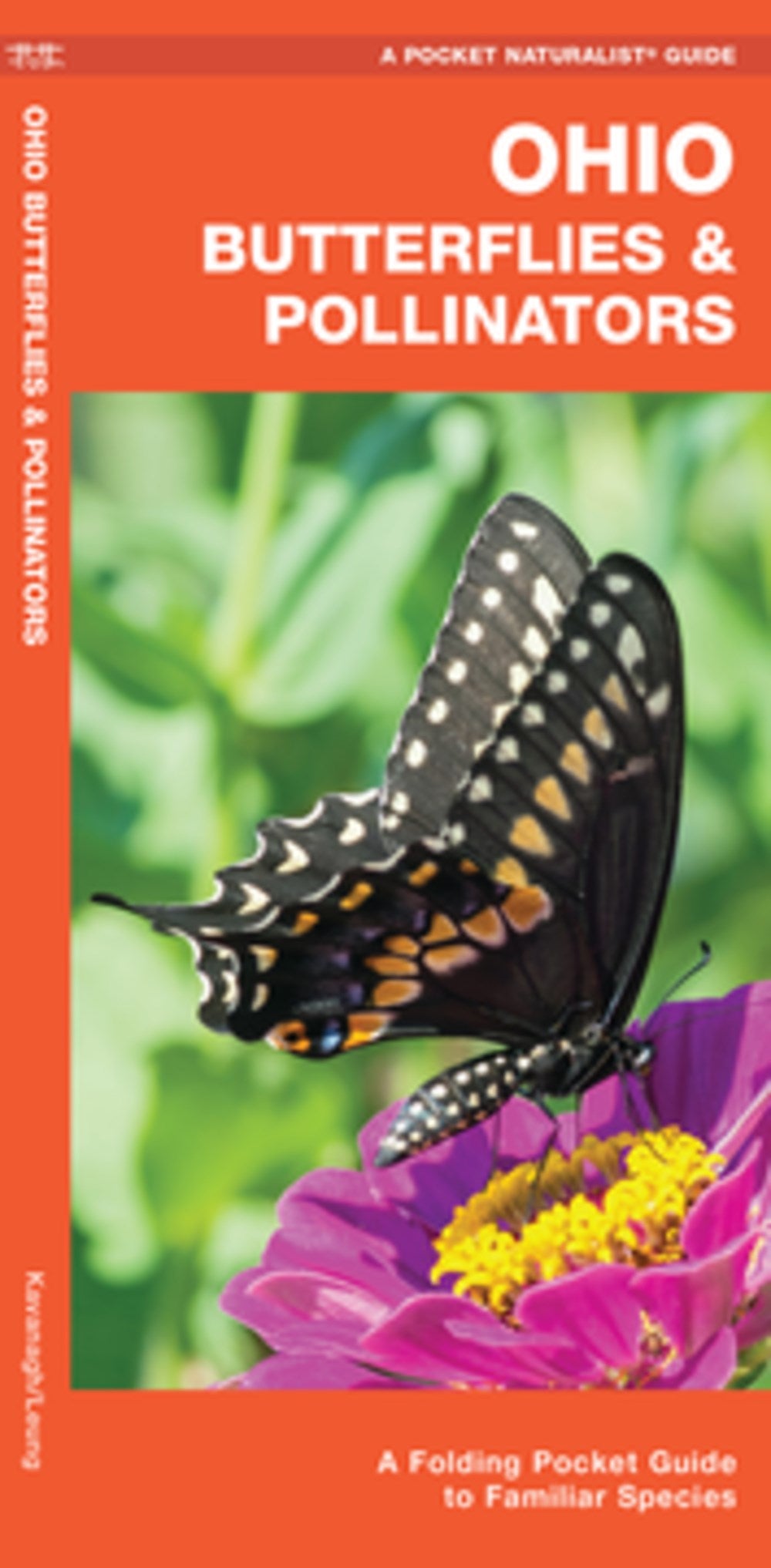 Ohio Butterflies & Pollinators: A Folding Pocket Guide to Familiar Species (2nd Edition)