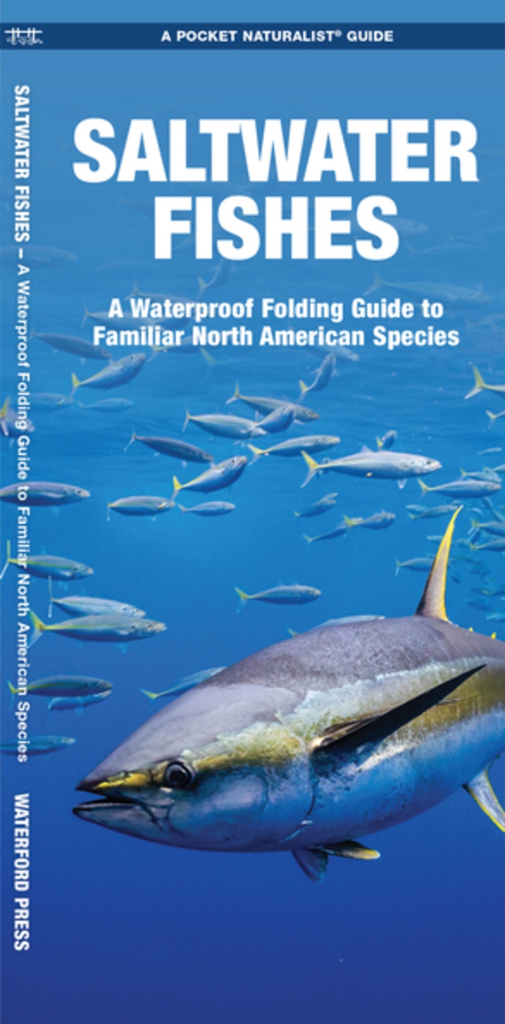 Saltwater Fishes: A Waterproof Folding Guide to Familiar North American Species (2nd Edition)