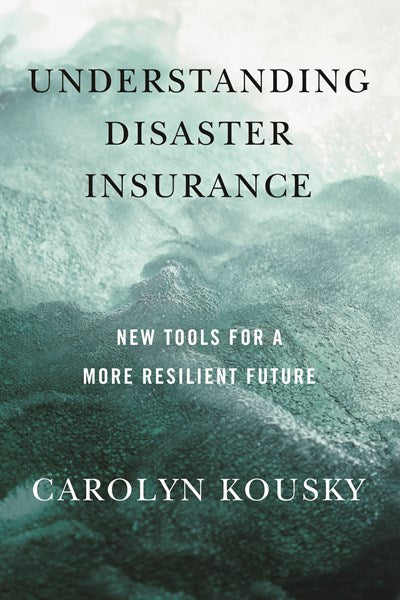 Understanding Disaster Insurance: New Tools for a More Resilient Future