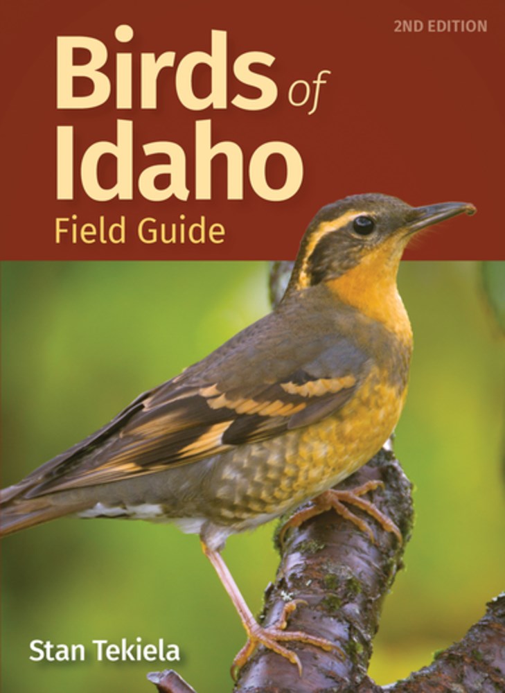 Birds of Idaho Field Guide  (2nd Edition, Revised)