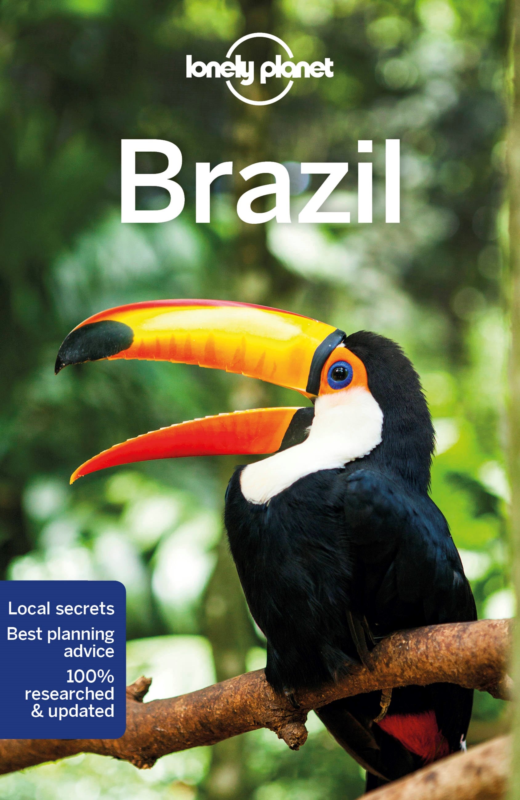 Lonely Planet Brazil 12  (12th Edition)