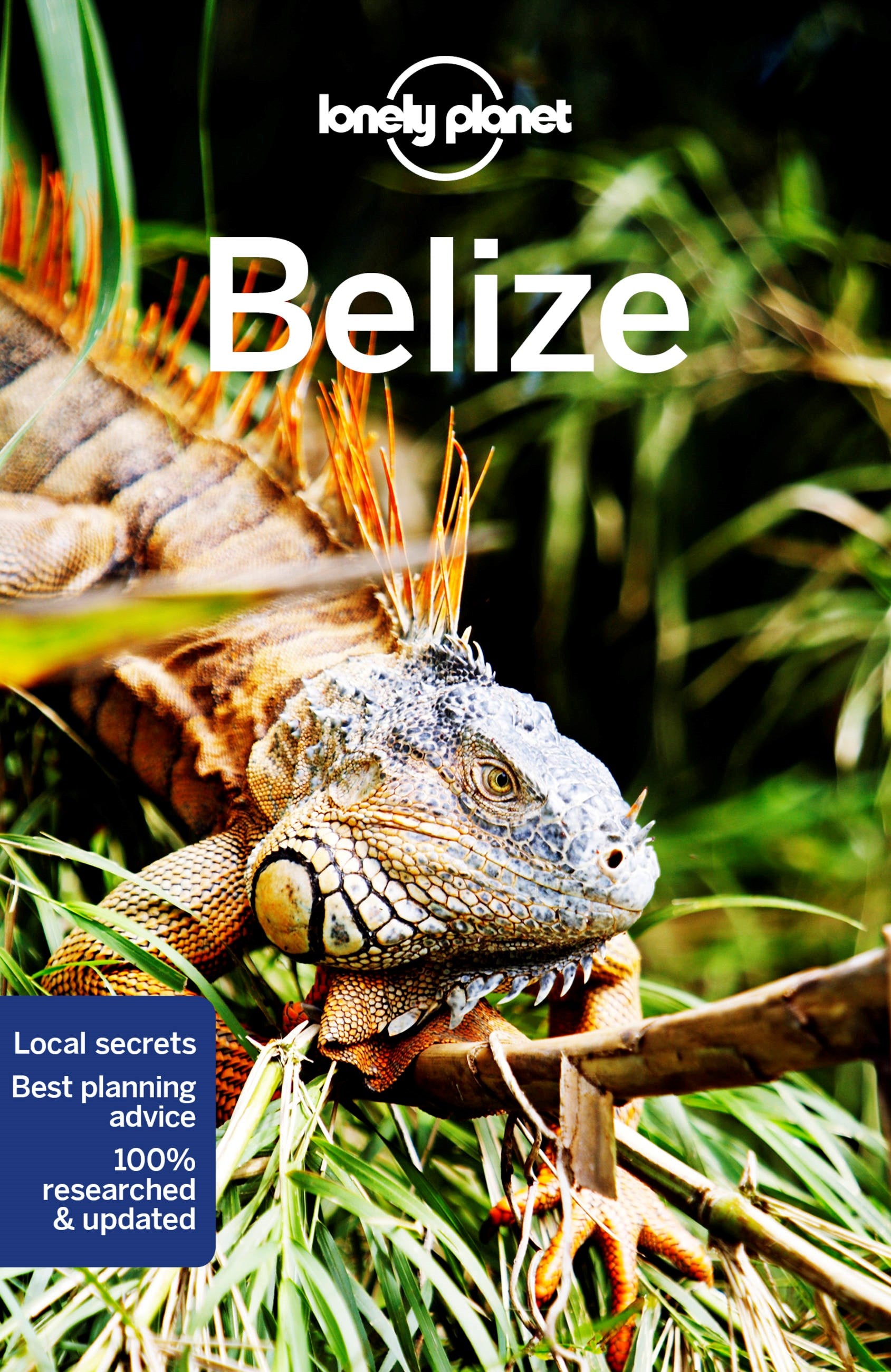 Lonely Planet Belize 8  (8th Edition)