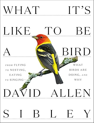 What It's Like to Be a Bird: From Flying to Nesting, Eating to Singing--What Birds Are Doing, and Why (Sibley Guides)