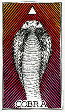 The Wild Unknown Animal Spirit Deck and Guidebook (Official Keepsake Box Set): A Breathtaking Tarot Card Box Set Featuring Oracle Deck and Guidebook