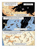 Sapiens: A Graphic History: The Birth of Humankind (Vol. 1)