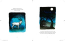 The Cat Who Taught Zen: A Beautifully Illustrated Exploration of Self-Discovery
