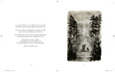 The Cat Who Taught Zen: A Beautifully Illustrated Exploration of Self-Discovery