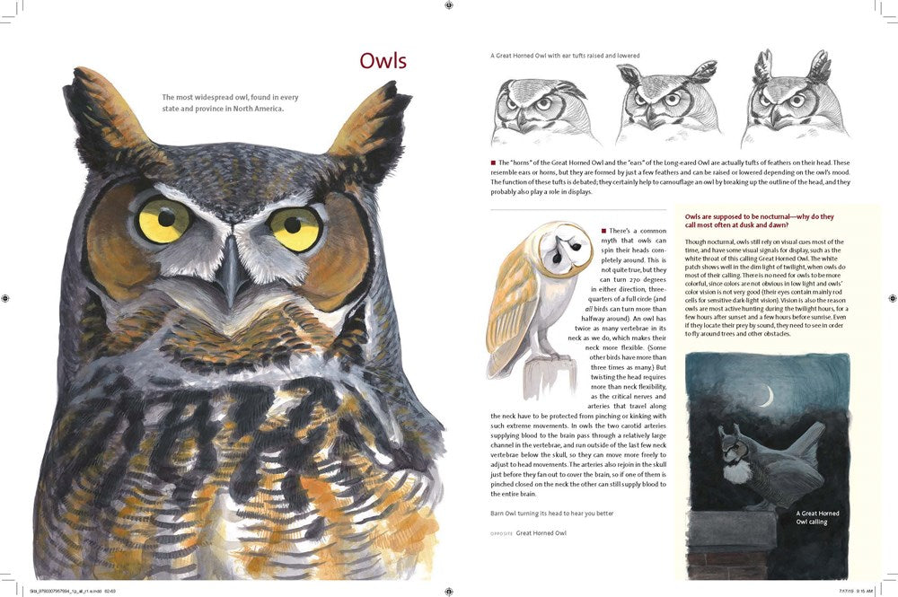 What It's Like to Be a Bird: From Flying to Nesting, Eating to Singing--What Birds Are Doing, and Why (Sibley Guides)