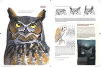 What It's Like to Be a Bird: From Flying to Nesting, Eating to Singing--What Birds Are Doing, and Why (Sibley Guides)