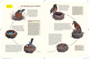 What It's Like to Be a Bird: From Flying to Nesting, Eating to Singing--What Birds Are Doing, and Why (Sibley Guides)