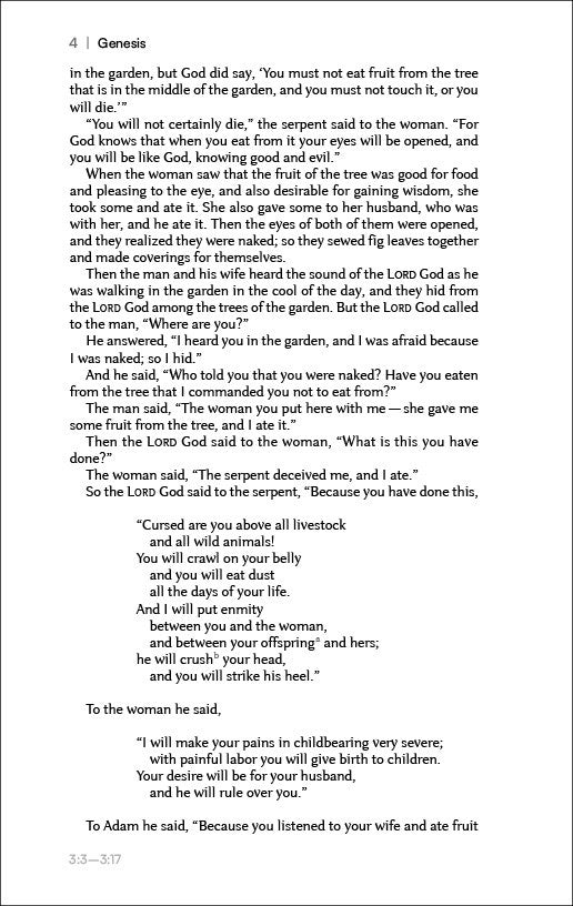 NIV Lectio Bible: A simple, ancient way to read the library of Scripture, Cloth over Board: The Practicing the Way edition with an introduction by John Mark Comer
