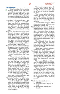 NIrV, Adventure Bible for Early Readers, Leathersoft, Purple, Full Color