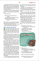 NIrV, Adventure Bible for Early Readers, Leathersoft, Purple, Full Color