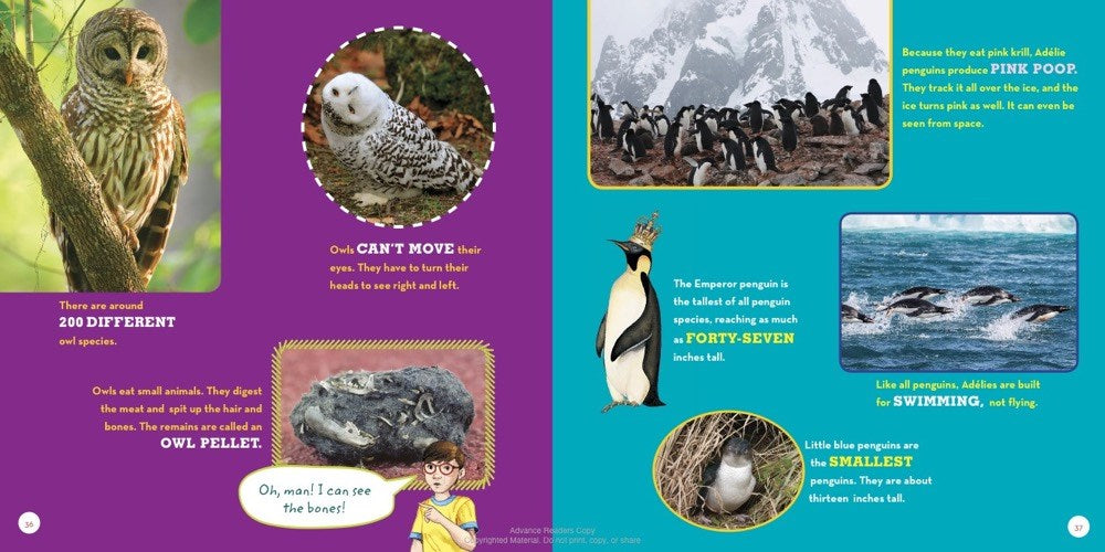 Magic Tree House Incredible Fact Book