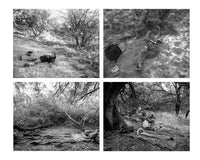 The Land of Open Graves