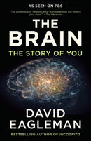 The Brain