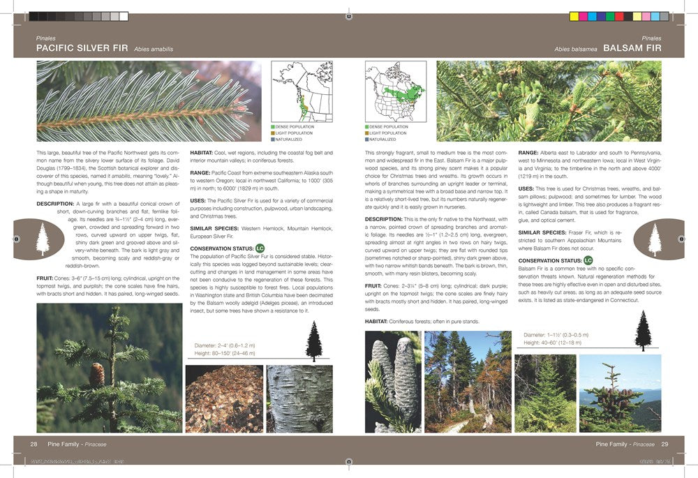 National Audubon Society Trees of North America (National Audubon Society Complete Guides)