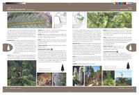 National Audubon Society Trees of North America (National Audubon Society Complete Guides)