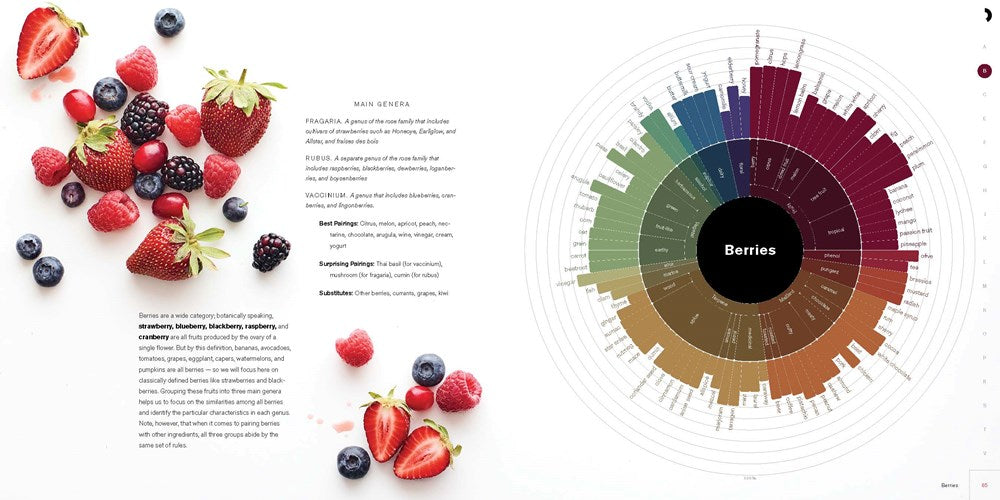 The Flavor Matrix: The Art and Science of Pairing Common Ingredients to Create Extraordinary Dishes
