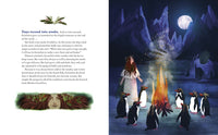 The Legend of the Christmas Witch