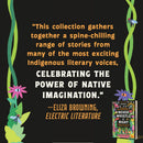 Never Whistle at Night: An Indigenous Dark Fiction Anthology