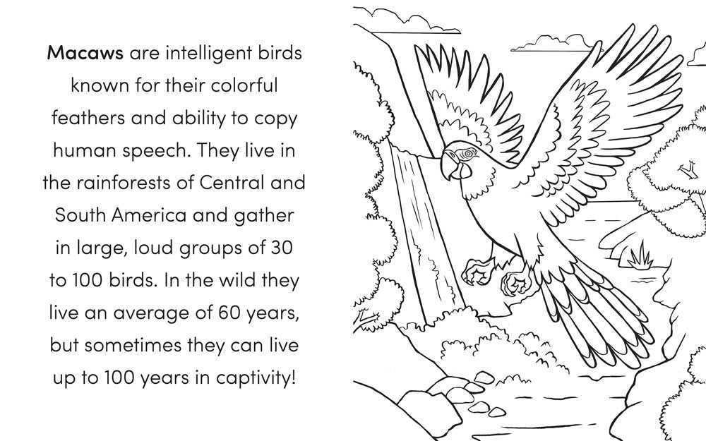 Bird Book for Kids: Coloring Fun and Awesome Facts (A Did You Know? Coloring Book)