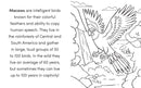 Bird Book for Kids: Coloring Fun and Awesome Facts (A Did You Know? Coloring Book)