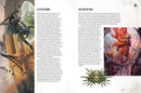 Dungeons & Dragons Worlds & Realms: Adventures from Greyhawk to Faerûn and Beyond