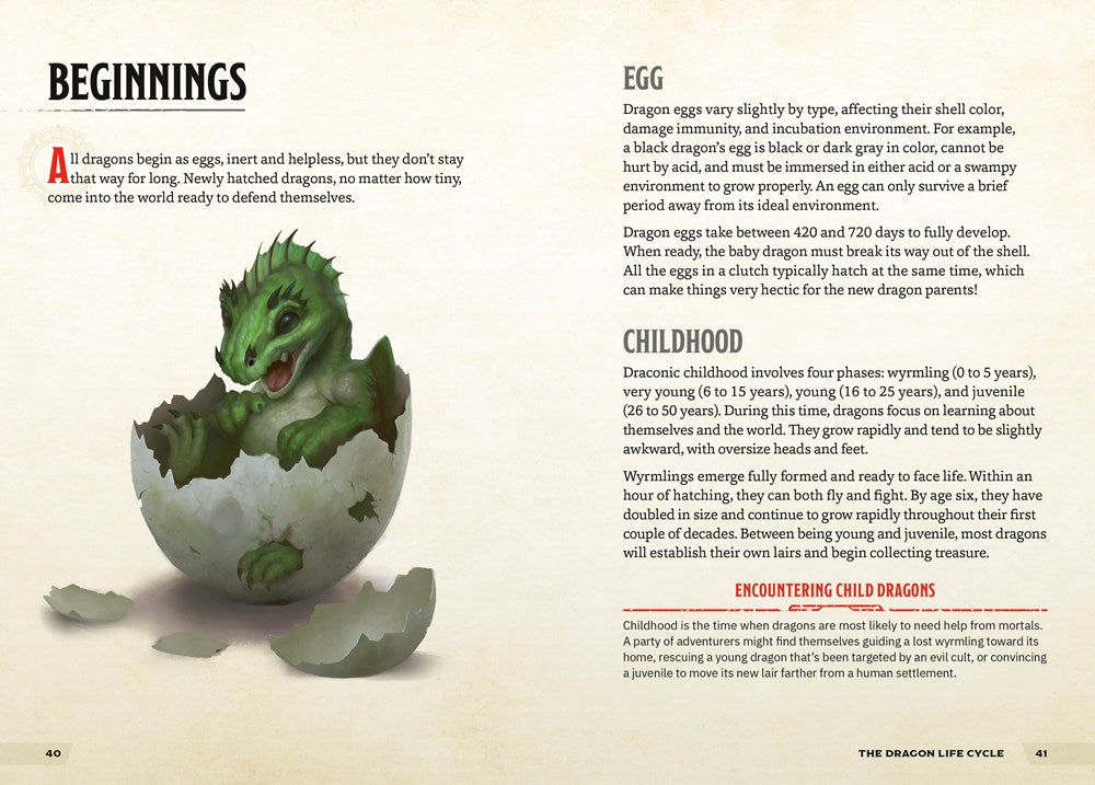 The Young Adventurer's Collection Box Set 2 (Dungeons & Dragons 4-Book Boxed Set): Beasts & Behemoths, Dragons & Treasures, Places & Portals, ... & Dragons Young Adventurer's Guides)