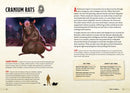 The Young Adventurer's Collection Box Set 2 (Dungeons & Dragons 4-Book Boxed Set): Beasts & Behemoths, Dragons & Treasures, Places & Portals, ... & Dragons Young Adventurer's Guides)