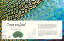 An Anthology of Exquisite Birds (DK Children's Anthologies)