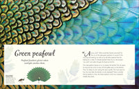 An Anthology of Exquisite Birds (DK Children's Anthologies)