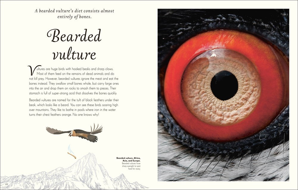 An Anthology of Exquisite Birds (DK Children's Anthologies)
