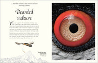 An Anthology of Exquisite Birds (DK Children's Anthologies)