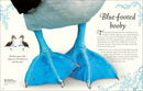An Anthology of Exquisite Birds (DK Children's Anthologies)