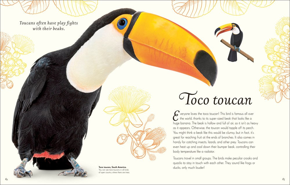 An Anthology of Exquisite Birds (DK Children's Anthologies)