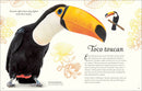 An Anthology of Exquisite Birds (DK Children's Anthologies)