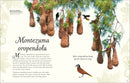 An Anthology of Exquisite Birds (DK Children's Anthologies)